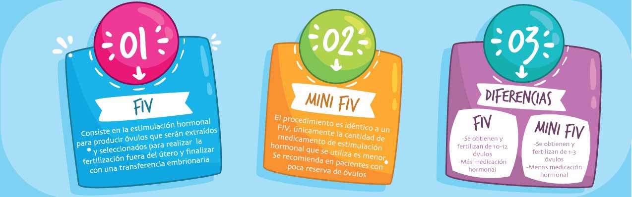 ¿Qué diferencias existe entre la fertilización in vitro y el mini FIV?