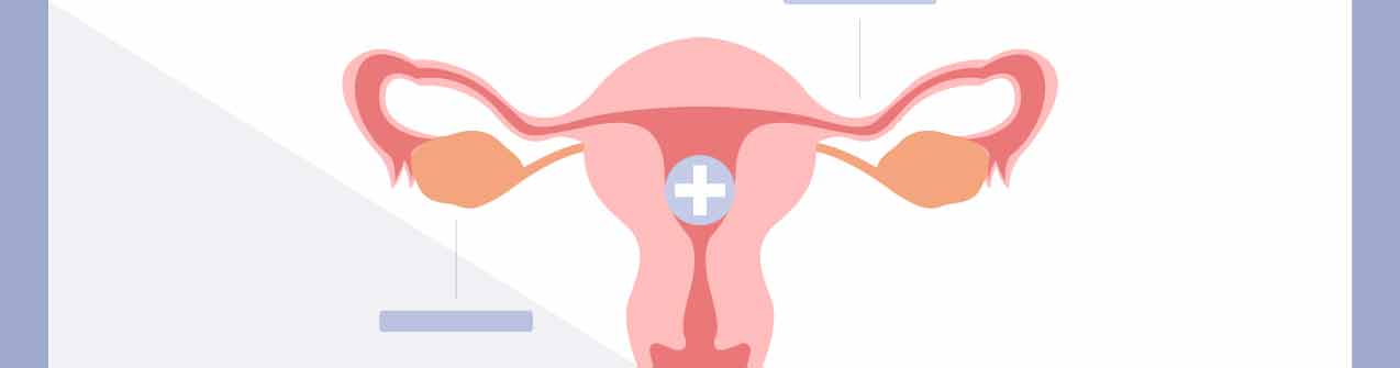 La transferencia embrionaria es más sencilla de lo que pensabas
