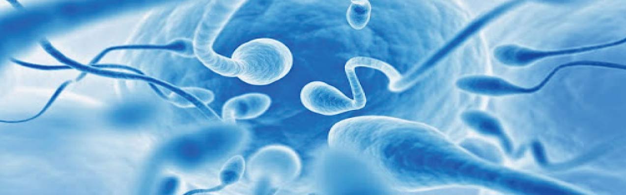 Infertilidad masculina: capacitación espermática y lavado seminal