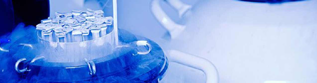 Razones para preservar la fertilidad femenina