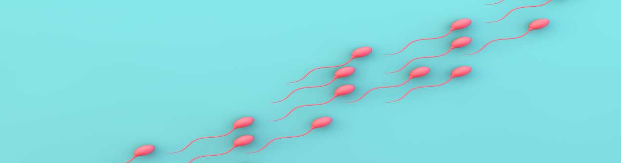 Alteraciones seminales y fertilidad masculina