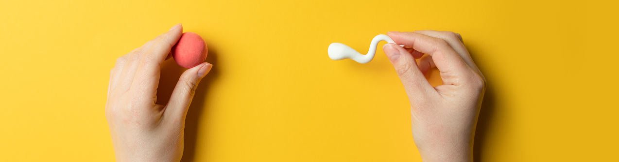 Consideraciones antes de recurrir a un Tratamiento de Reproducción Asistida