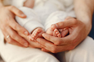 Procrea photo 2