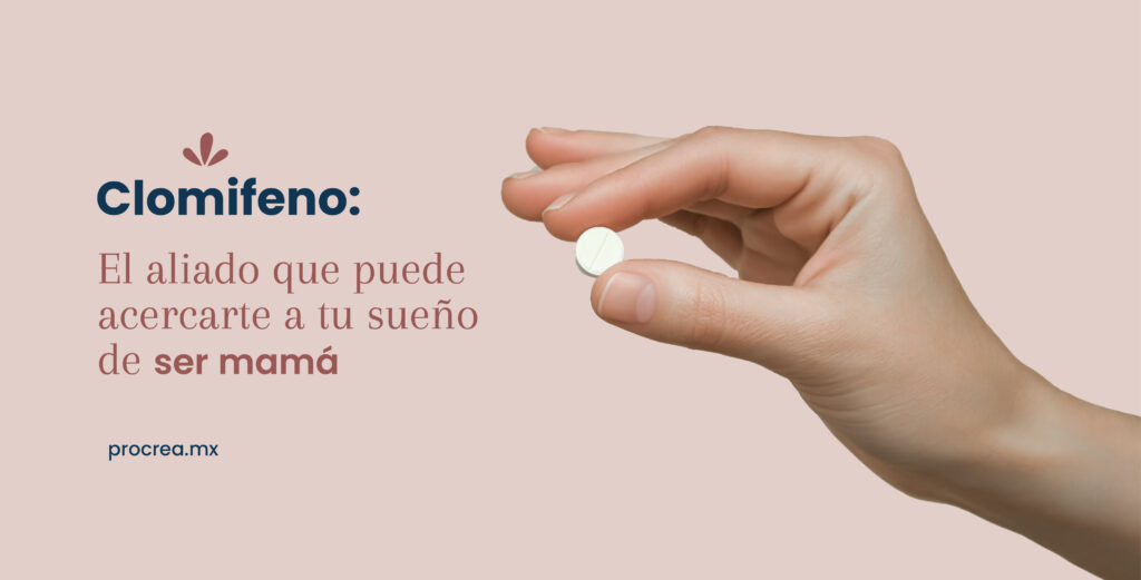 Clomifeno: El aliado que puede acercarte a tu sueño de ser mamá