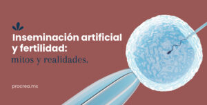 Inseminación Artificial y fertilidad: Mitos y realidades