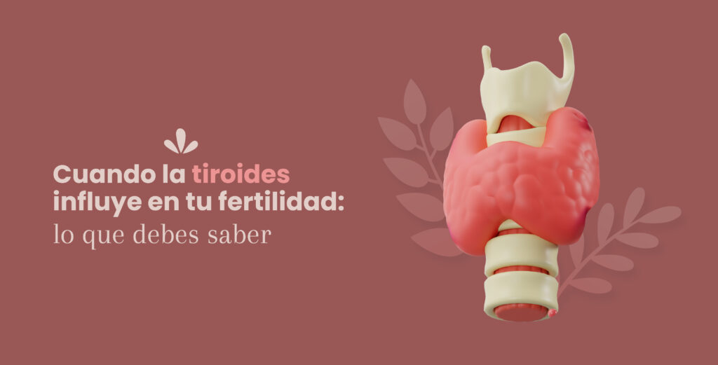 Cuando la tiroides influye en tu fertilidad: lo que debes saber