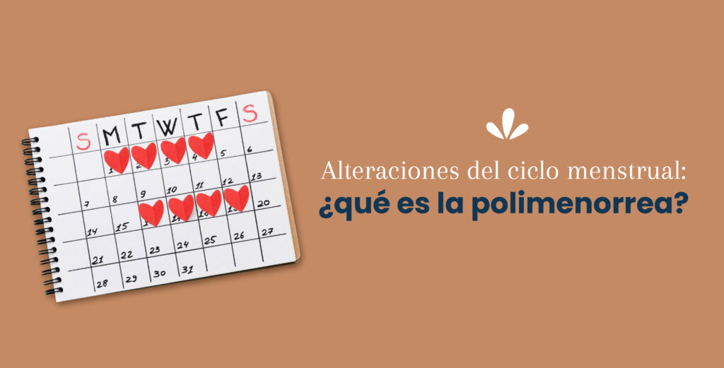 Alteraciones del ciclo menstrual: ¿Qué es la polimenorrea?