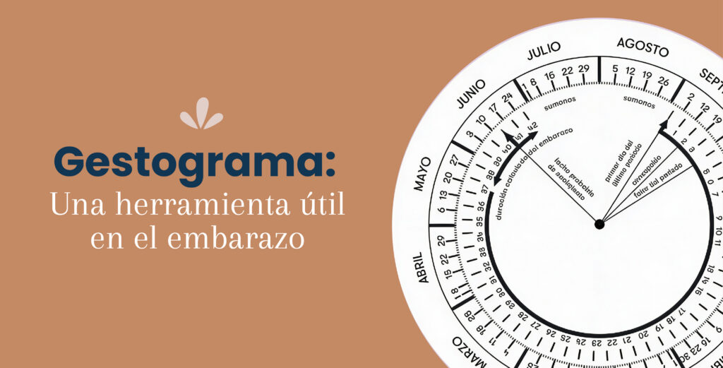 Gestograma: una herramienta útil en el embarazo