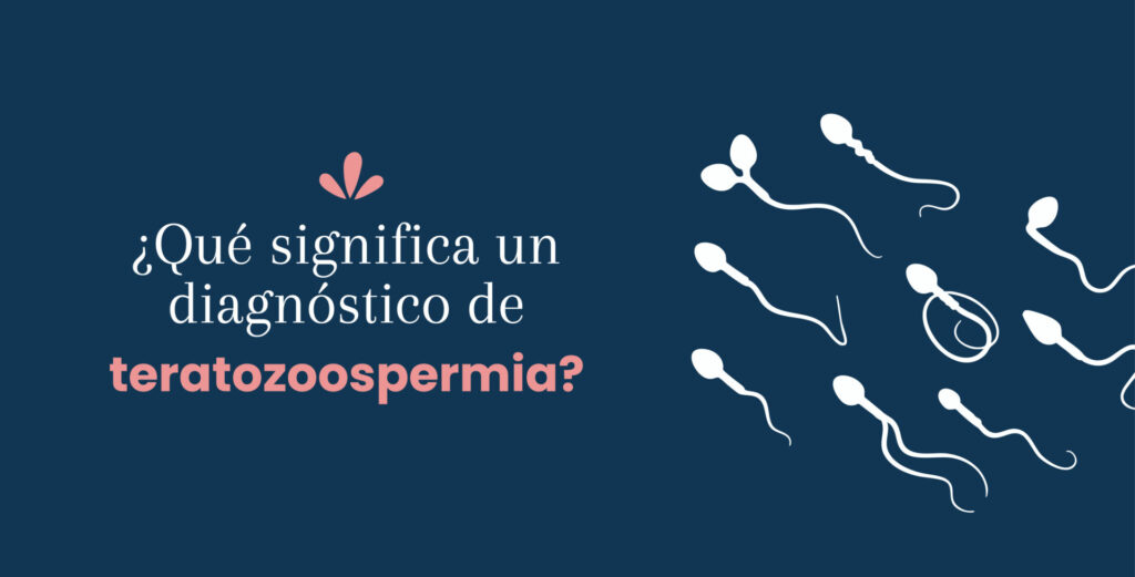 ¿Qué significa un diagnóstico de teratozoospermia?