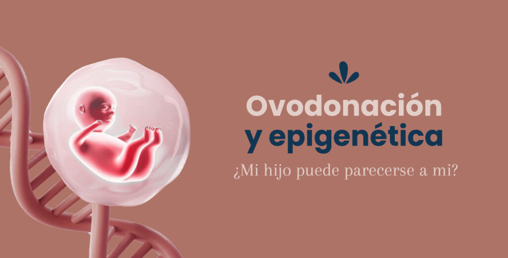 Ovodonación y epigenética. ¿Mi hijo puede parecerse a mí?