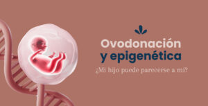 Ovodonación y epigenética. ¿Mi hijo puede parecerse a mí?