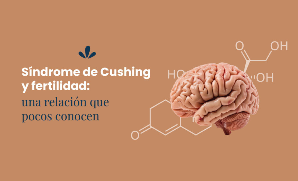Síndrome de Cushing y fertilidad: una relación que pocos conocen