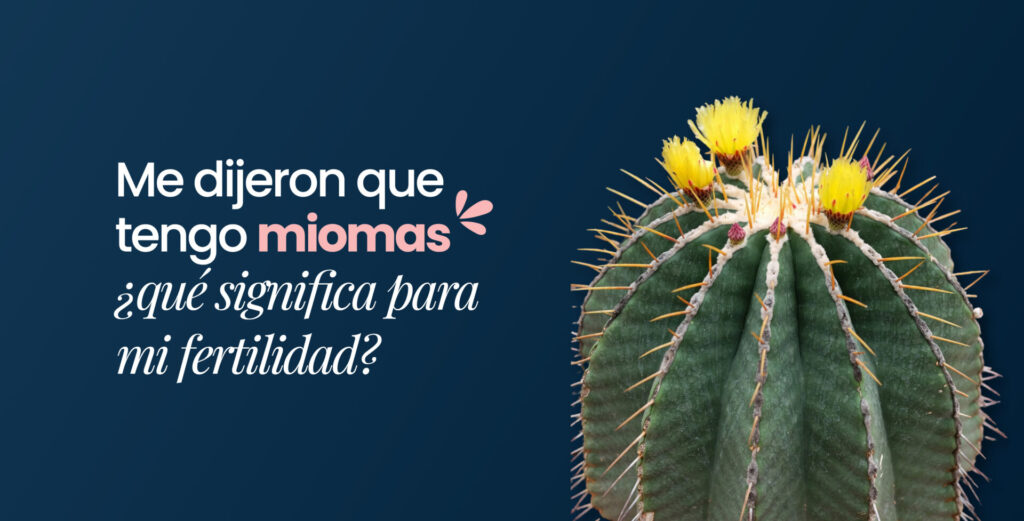 Me dijeron que tengo miomas, ¿qué significa para mi fertilidad?