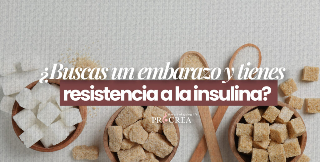¿Buscas un embarazo y tienes resistencia a la insulina?