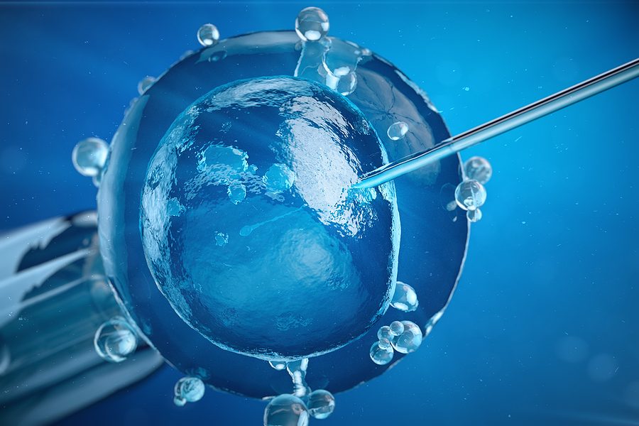 Inyección intracitoplasmática fisiológica (PICSI) | Procrea