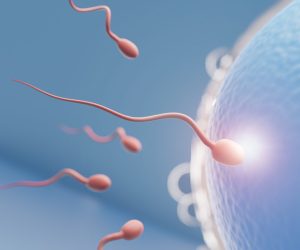 Close up of Sperm swimming towards the blue egg in a blue background. 3D Illustration Rendering.