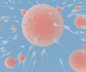 concepto-ovulo-esperma-fertilizacion-e-implantacion-ilustracion-renderizado-3d (1)