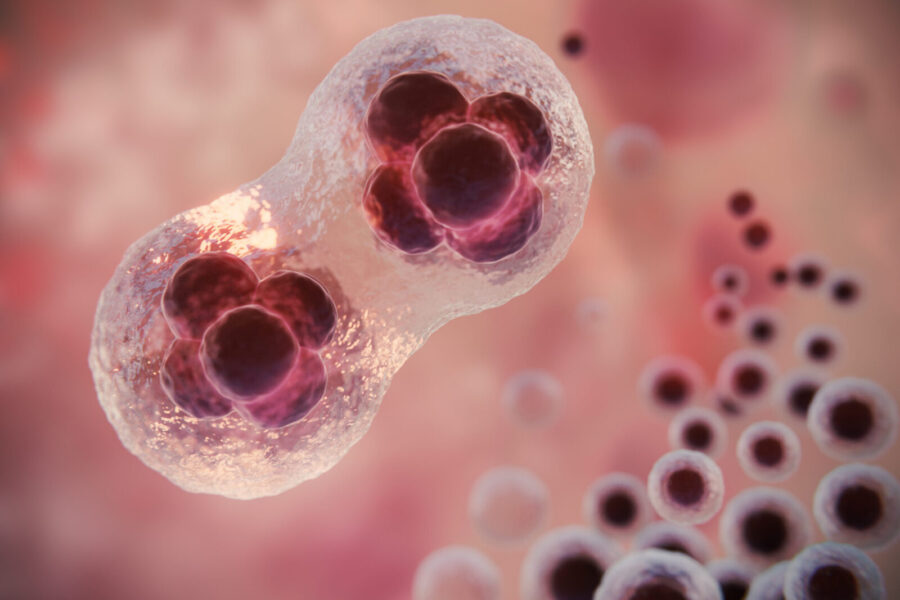 hermoso-concepto-fertilidad-renderizado-3d