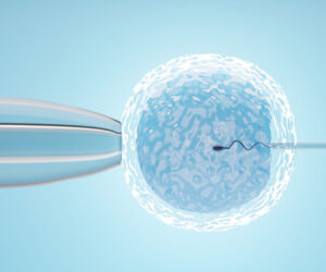 Ovum with needle for artificial insemination or in vitro fertilization. 3D Illustration Rendering.