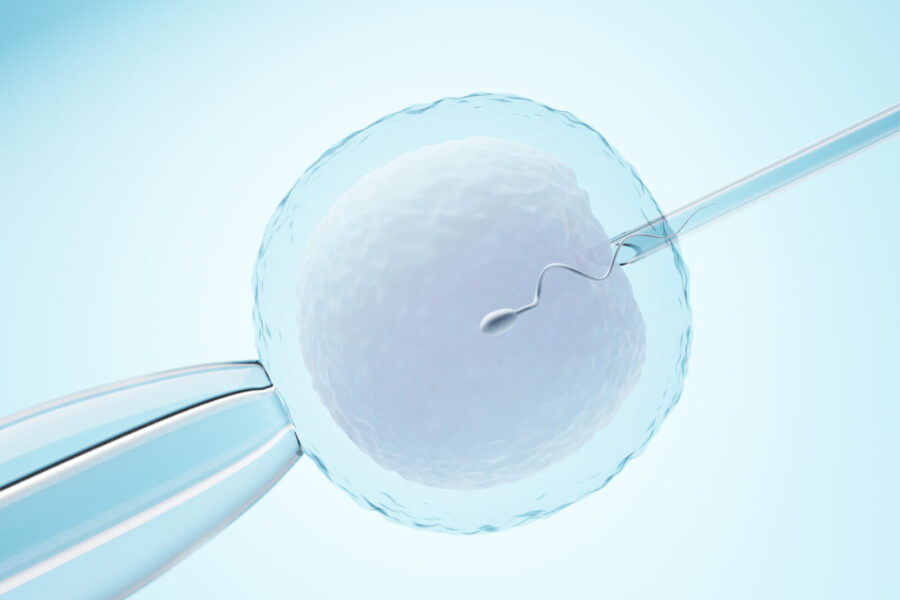 Ovum with needle for artificial insemination or in vitro fertilization. 3D Illustration Rendering.